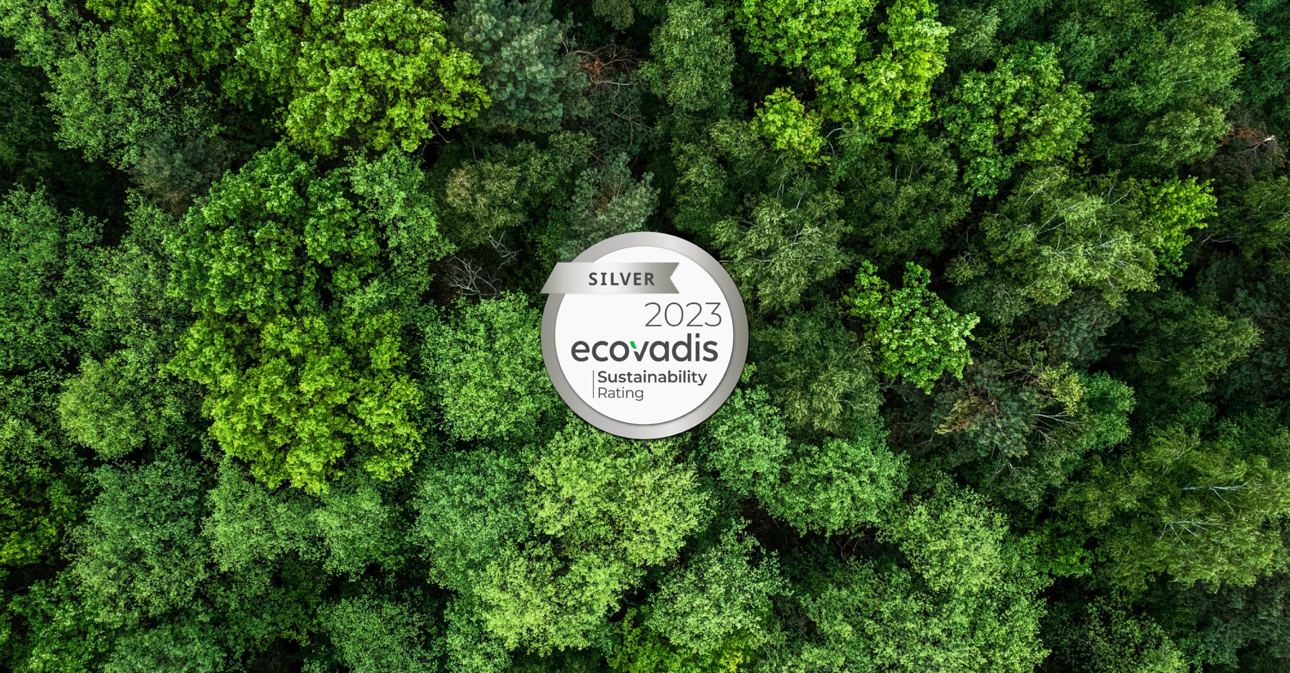 EcoVadis Zilver